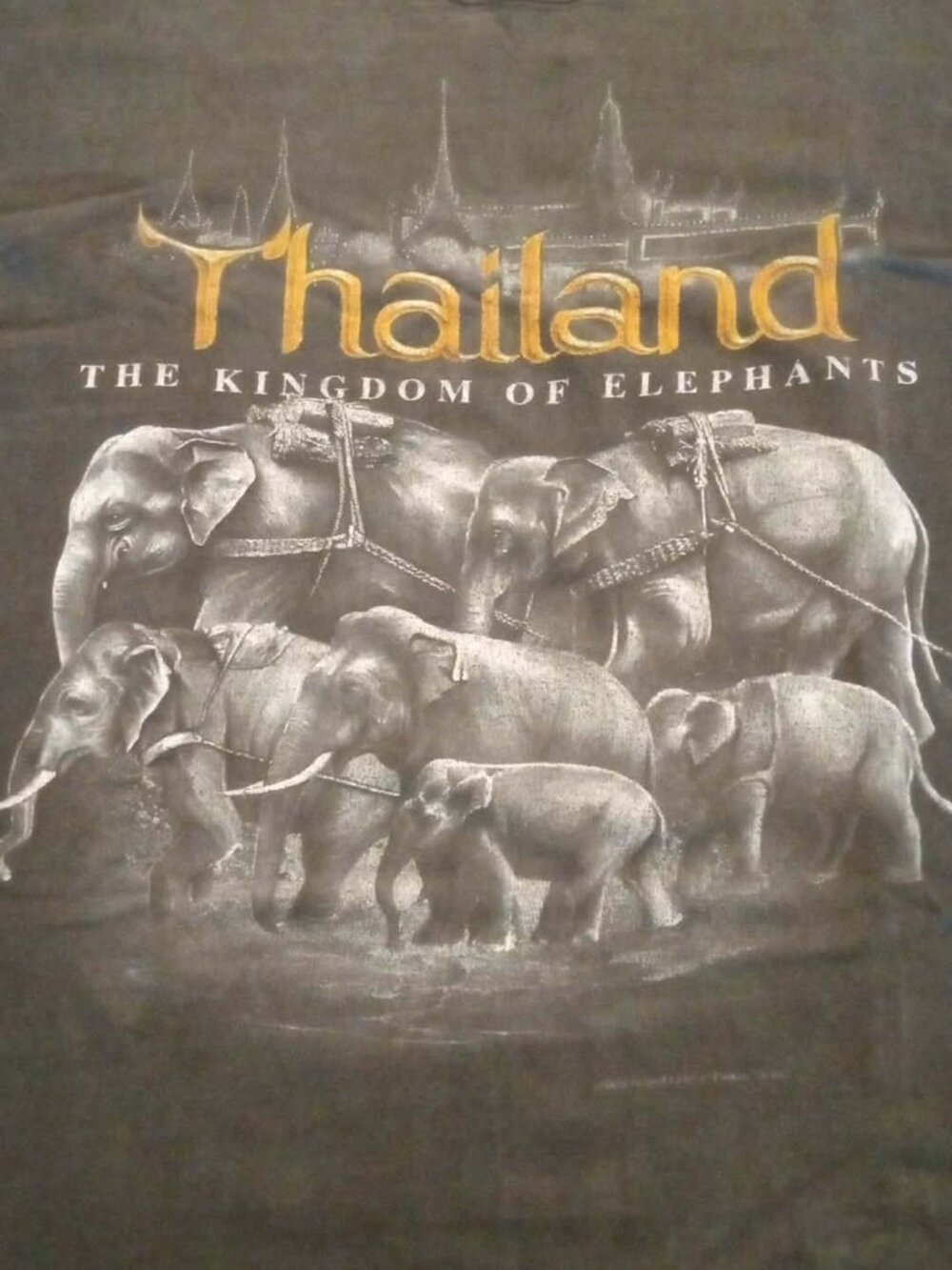 Vintage Distressed T-shirt ... Thailand Kingdom of Elephants ... Mens Size Large